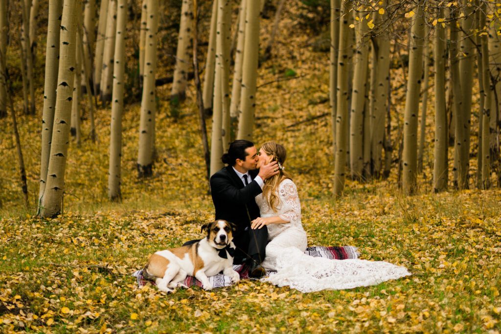 bride and groom sitting in a forest of aspens kissing with their dog sitting beside them during their colorado springs elopement