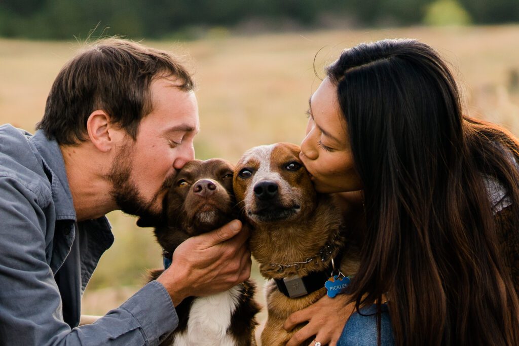 engaged couple sitting a field kissing their dogs during their Chautauqua Park Engagement Photos