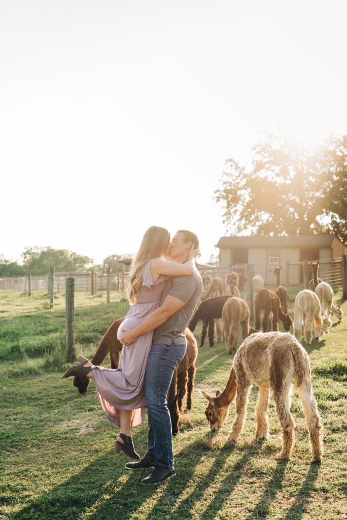boyfriend kissing and lifting his girlfriend up in the air during their couples photoshoot at a colorado alpaca ranch