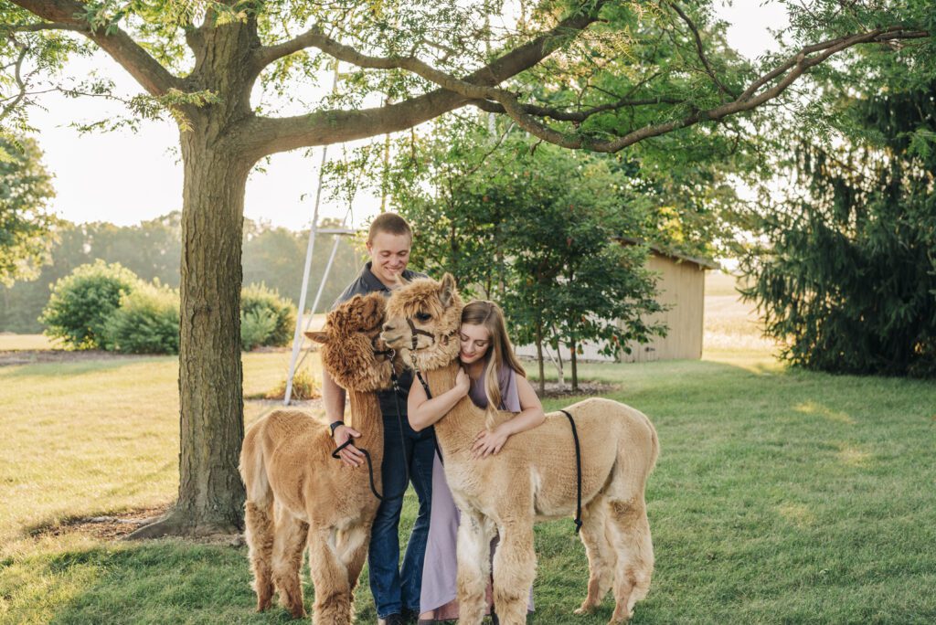 girl hugging alpaca around the neck as her boyfriend watches during their couples photoshoot at an alpaca ranch 