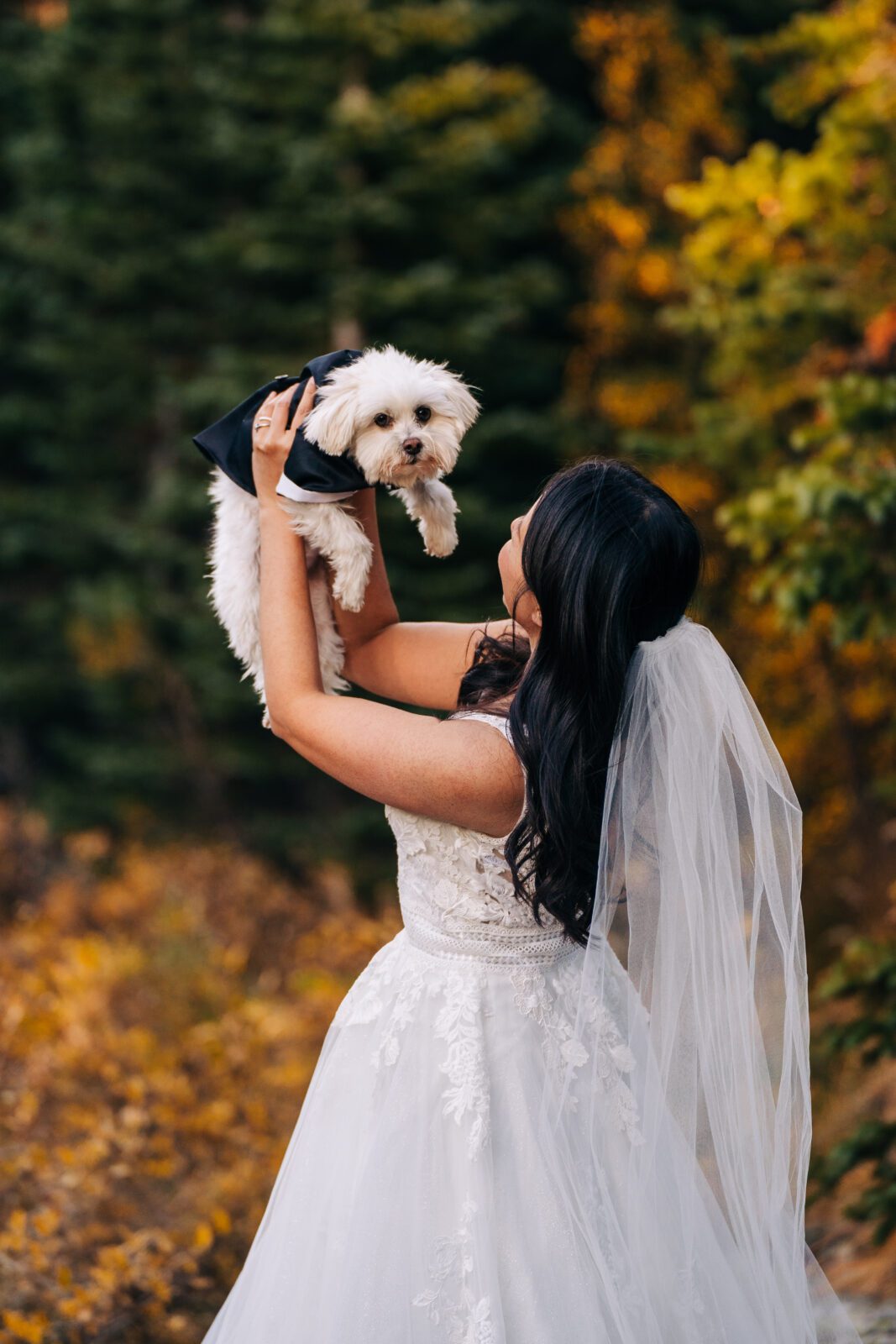 bride smiling and holding up her dog above her head after the wedding ceremony during their brainard lake elopement