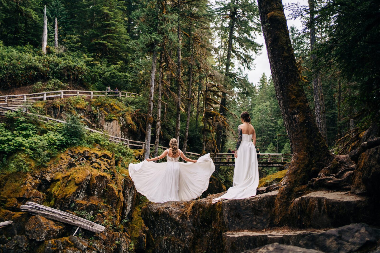 bride watching her wife throw her dress in the air during their washington elopement in mt rainier national park