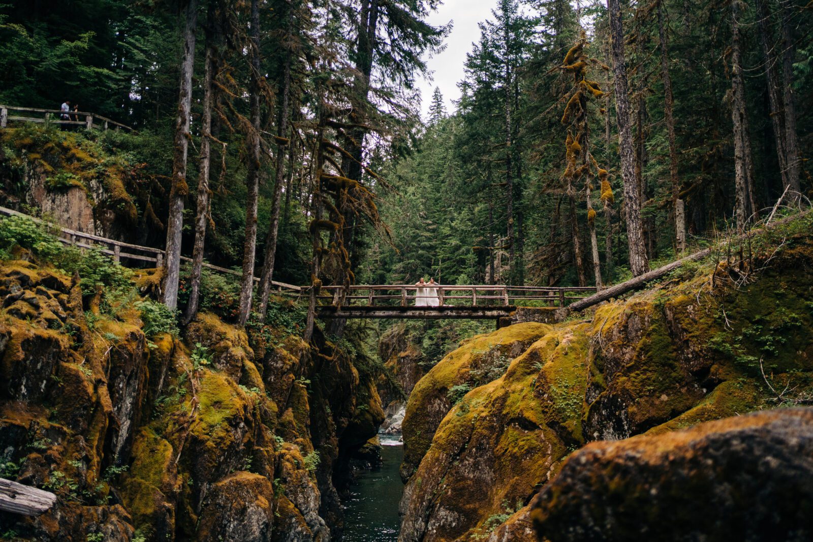 brides looking over a bridge in mt rainier's forest during their washington elopement