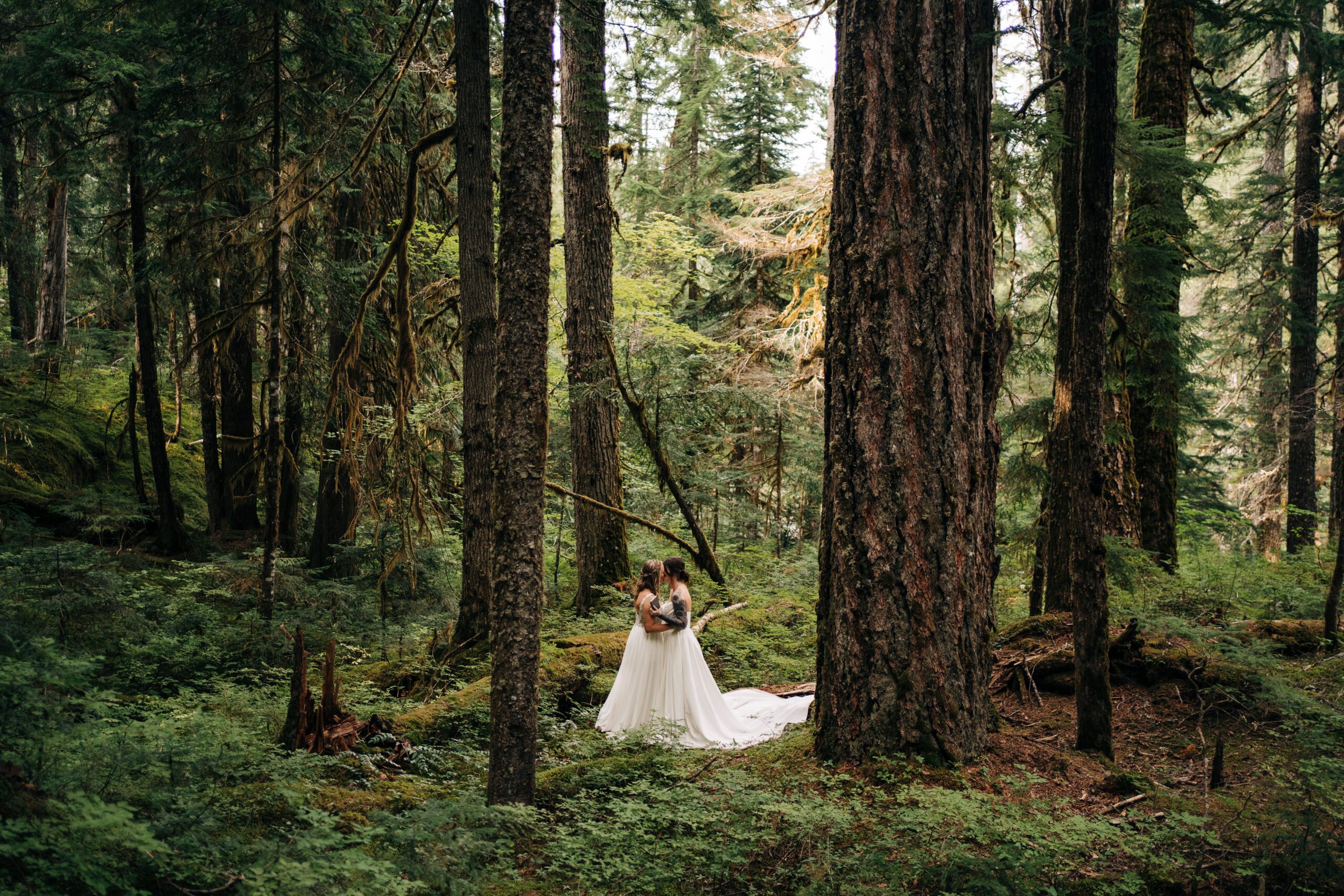 Queer couple kissing in the forest after their ceremony in mt rainier national park during their washington elopement